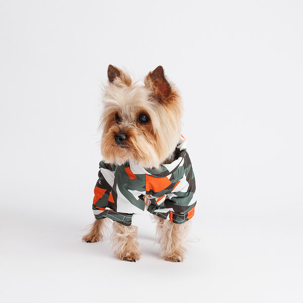 Комбинезон с замком для собак, S, серо-оранжевый