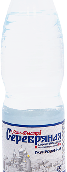 Вода газированная Серебряная Усть-Быстра
