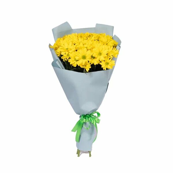 7 кустовых желтых хризантем