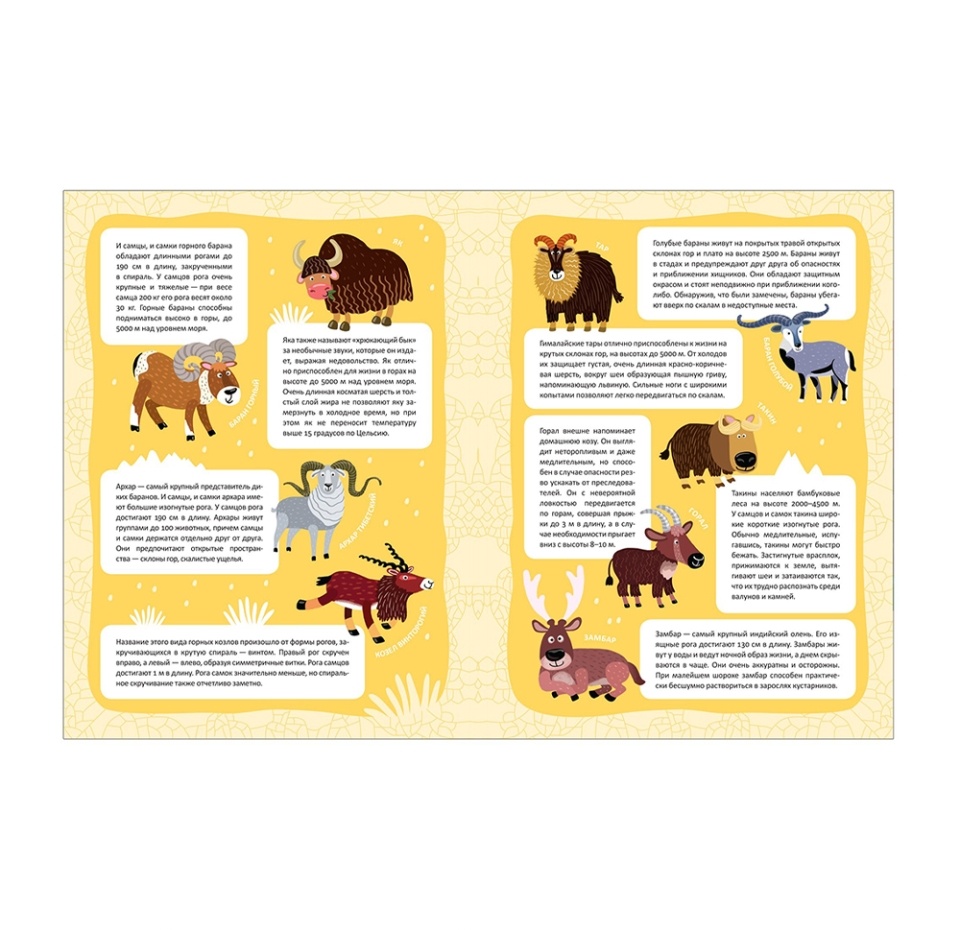 

В мире животных Высокие горы. Минишева Татьяна