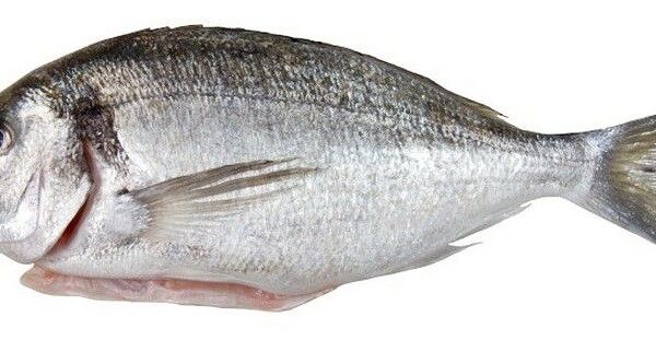 Дорадо непотрешеная с головой свежемороженая