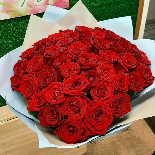 51 бордовая роза