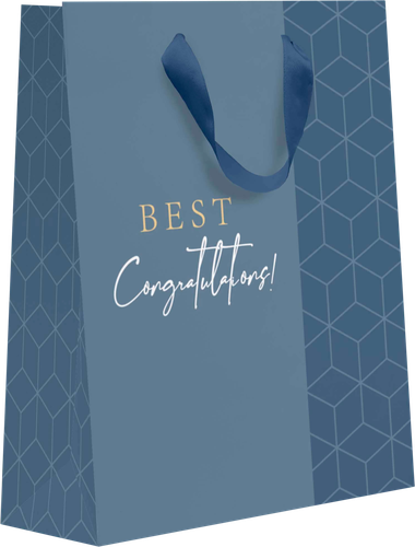 

Пакет подарочный Diplomat, 14,6х11,4х6,4см, размер S