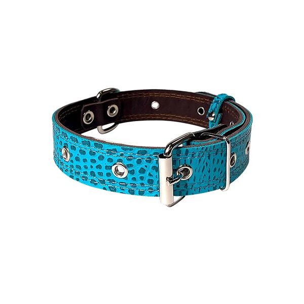 Dono Della ошейник универсальный двухслойный 25 мм. х 50 см., Бирюзовый кайман