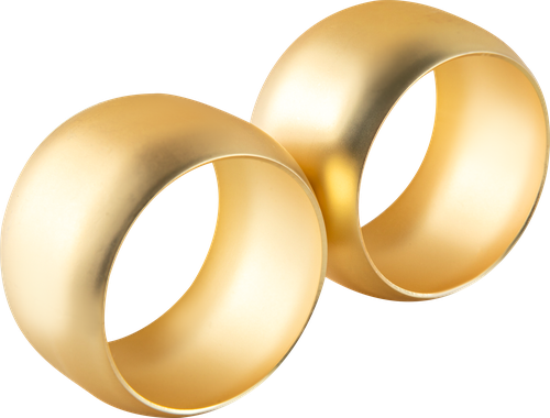 

Набор колец для салфеток Homeclub Gold в ассортименте 2 шт