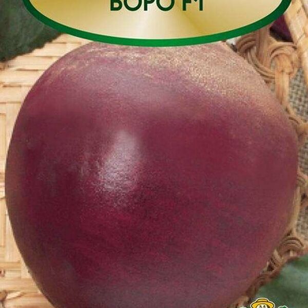 Семена Свекла Боро ТМ Поиск