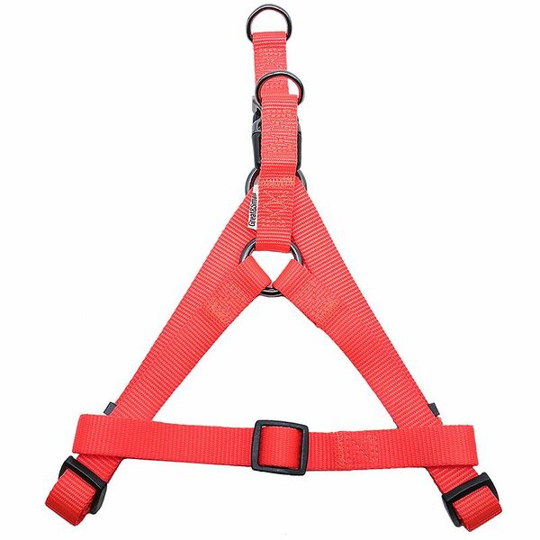 Шлейка для собак GREAT&SMALL 20мм (обхват 50-65см) оранжевая