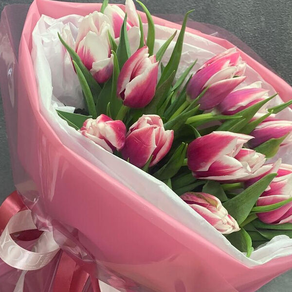 15 пионовидных тюльпанов