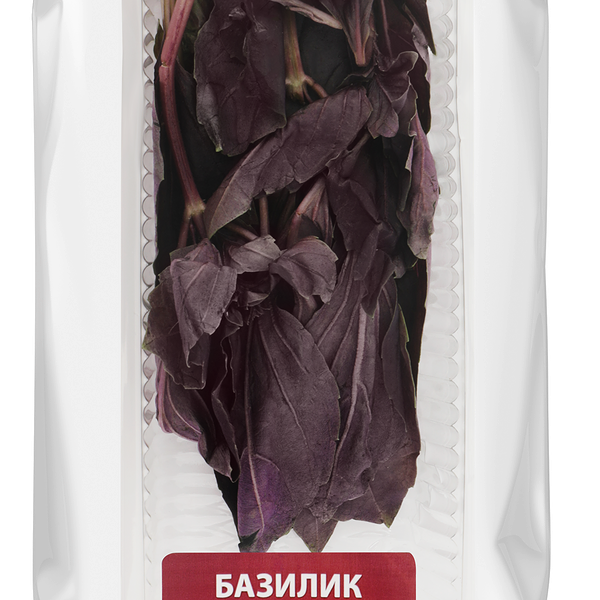 Базилик красный свежий