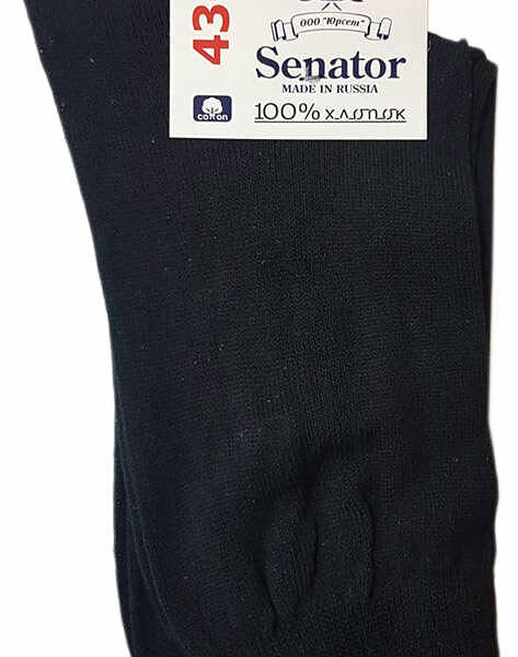 Носки мужские черные р.27 ТМ Senator (Сенатор)
