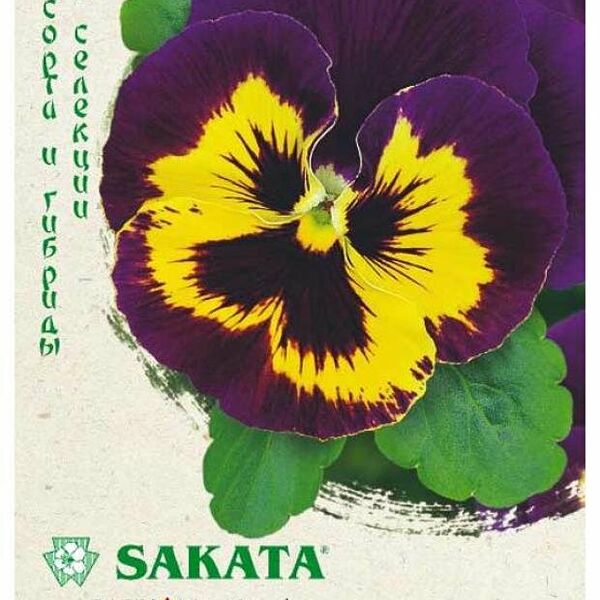 Семена Виола Барон пурпурный F1 5 шт ТМ Гавриш