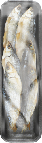 

Пелядь вяленая неразделанная весовая