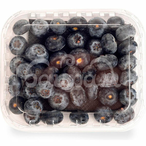 Голубика  свежая 125гр контейнер