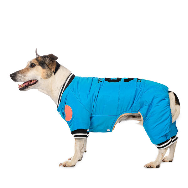 Комбинезон для собак S голубой (унисекс)