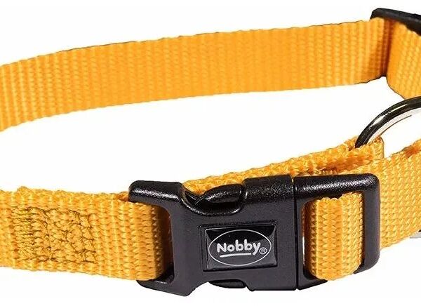 Ошейник для собак CLASSIC PRENO 13-20см/10мм нейлон оранжевый NOBBY 