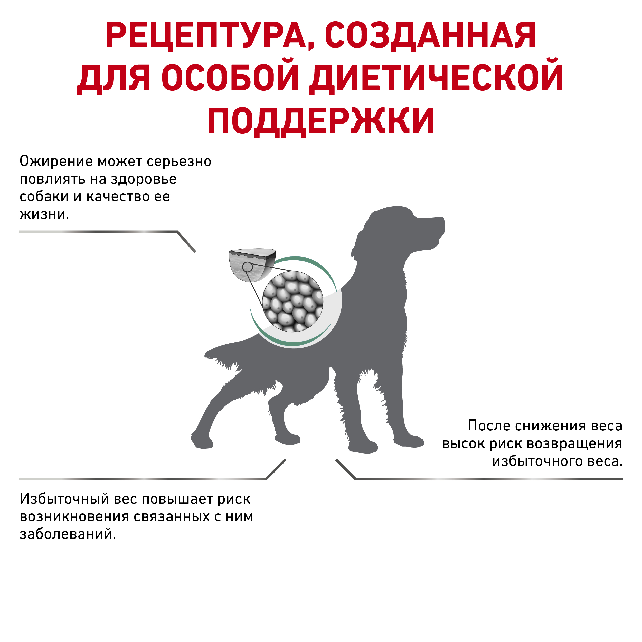 

Сухой корм для собак Royal Canin Satiety Weight Management для контроля избыточного веса 1.5 кг