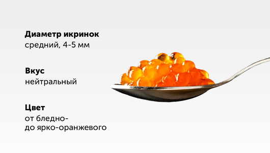 

Икра горбуши Восточный берег зернистая соленая зам