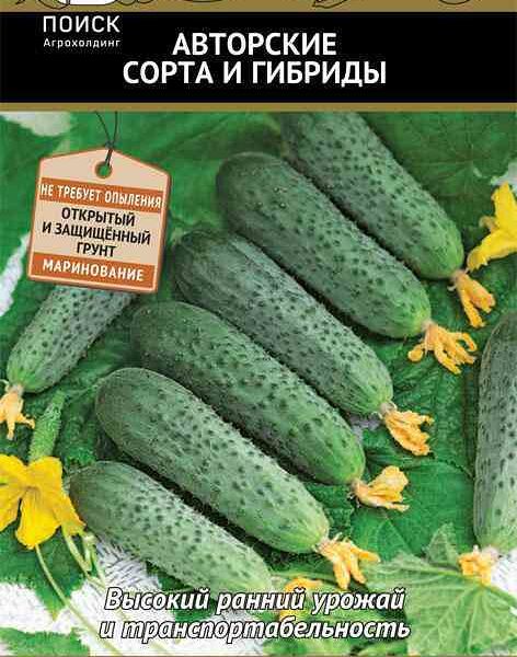 Семена Огурец Поиск Форсаж