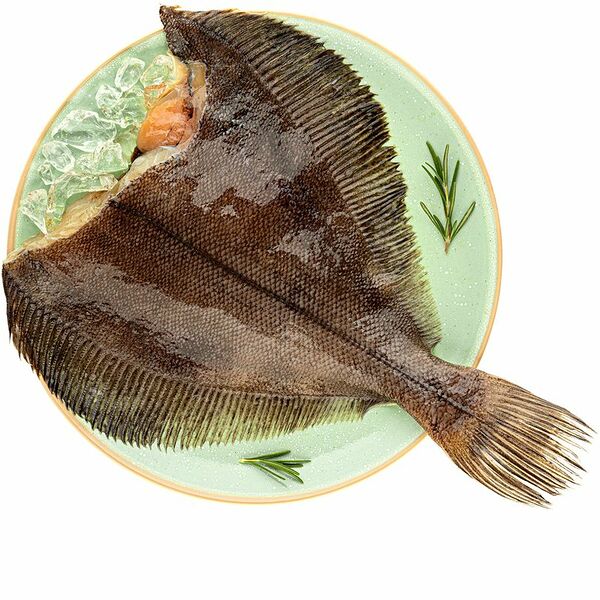 Камбала потрошёная без головы охлаждённая