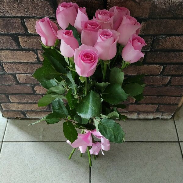 11 розовых роз под ленту