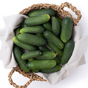 Огурцы Луховицкие