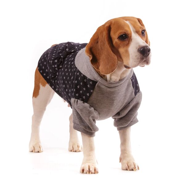 Толстовка-платье для собак 2XL синий (унисекс)