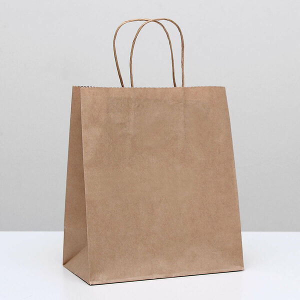 1263050 Пакет крафт без печати, круглая ручка 22*12*25 см, 1 шт