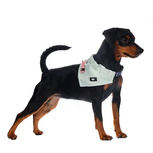 Ошейник-Бандана для собак зеленая с кроликом 15мм 26-42см