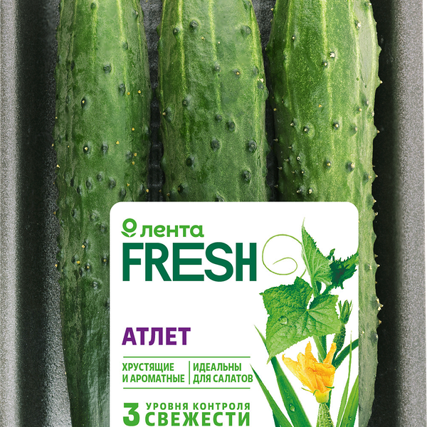 Огурцы ЛЕНТА FRESH Атлет, 450г