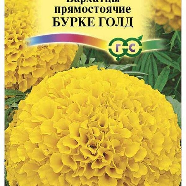 Семена Бархатцы прямостоячие Бурке Голд ТМ Гавриш