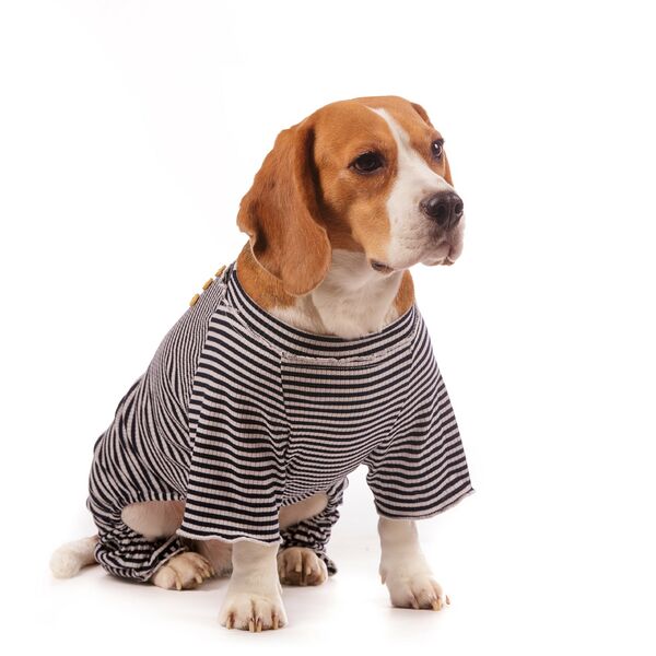 Костюм трикотажный для собак 2XL синий