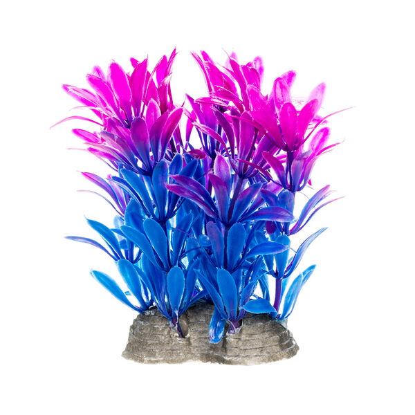 Растение фиолетовое 6,5х10см