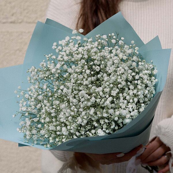 Букет из 11 белых гипсофил в голубой пленке