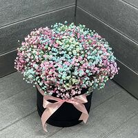 Изображение 2