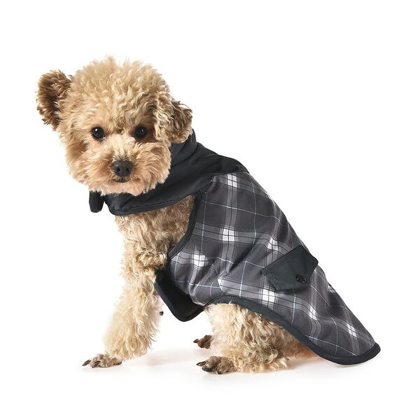 Попона для собак FOXIE Blizzard S разноцветная