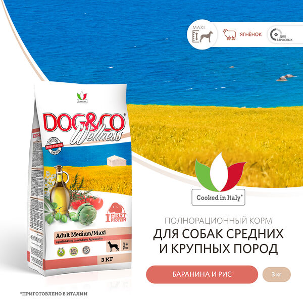 Wellness Dog&Co Adult Medium/Maxi корм для собак средних и крупных пород Баранина и рис