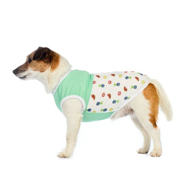 Футболка для собак XL бирюзовый (унисекс)