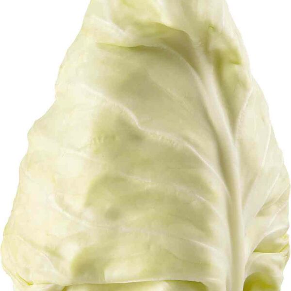 Капуста коническая Фруктовая почта