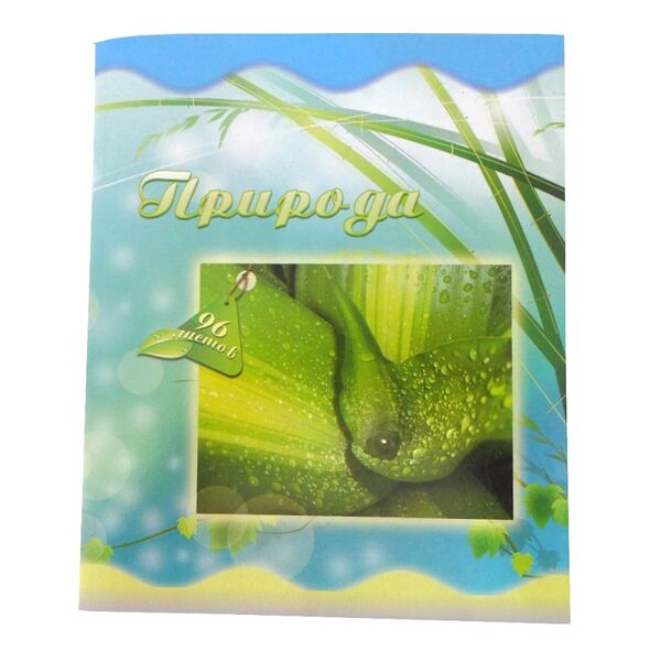 Тетрадь общая, цв.обл., 96 л., 5С072