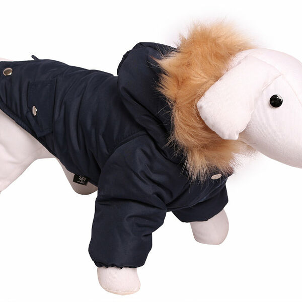 Lion Зимняя куртка для собак 