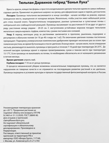 

Луковицы Тюльпан Дарвинов гибрид Банья Лука, 10шт