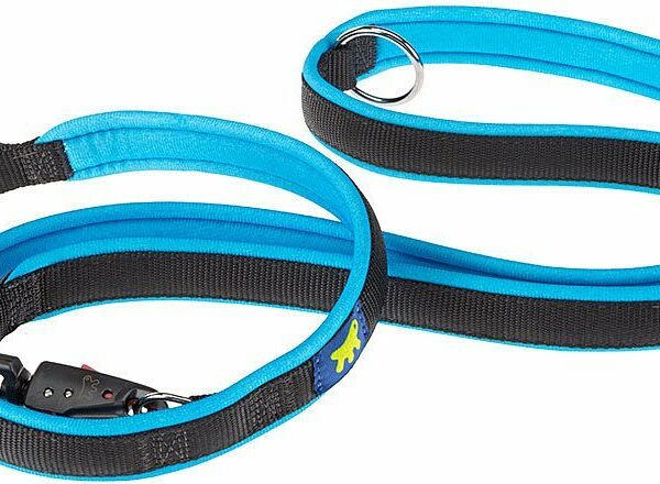 Поводок Ferplast нейлоновый Ergofluo Matic GA25/200, синий, 2.5х200 см