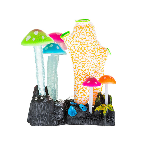 Асцидии с грибами с распылителем в цвете 11х8х14.5см