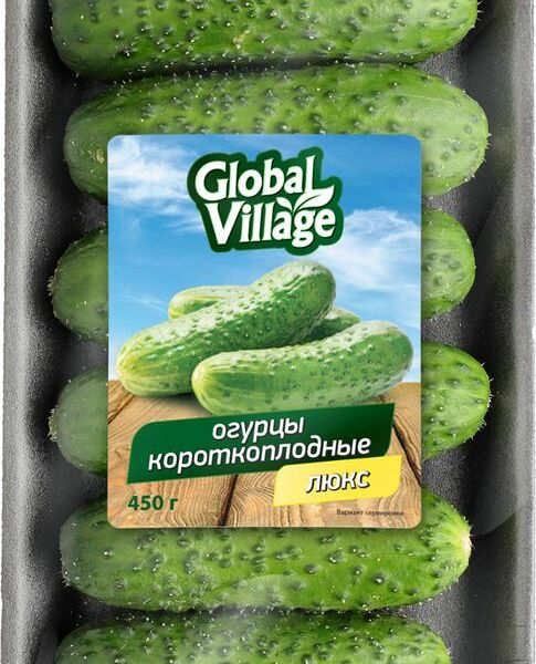 Огурцы Global Village короткоплодные, 450 г
