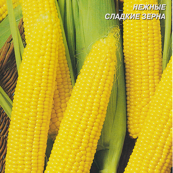 Семена ДОМ СЕМЯН Кукуруза Алина, 17шт