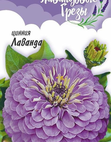 Семена цинния лаванда ТМ Гавриш