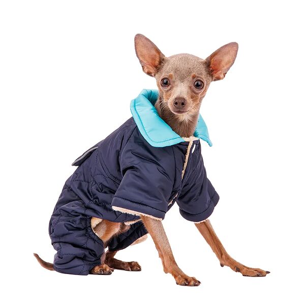 Комбинезон для собак M синий (унисекс)