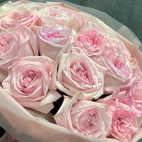 15 Роз White o hara с эвкалиптом