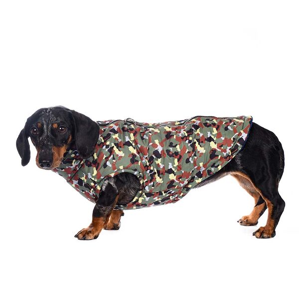 Куртка на молнии для собак XS зеленый (унисекс)