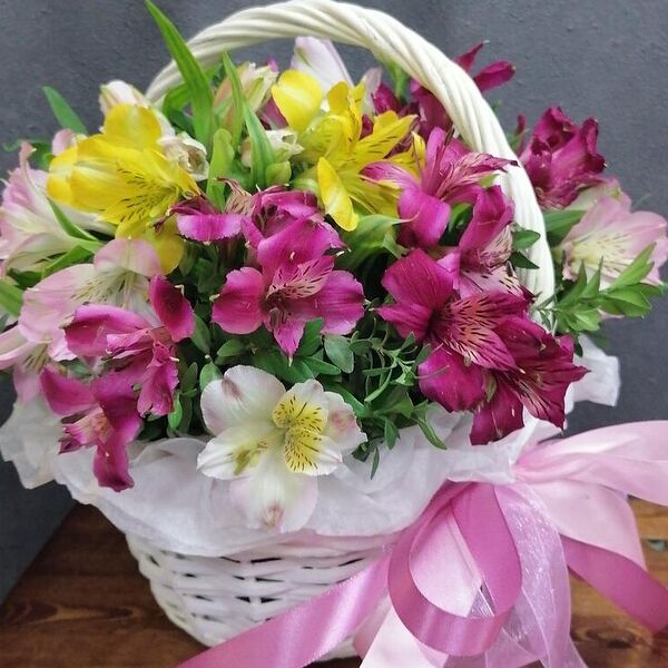 Альстромерия микс